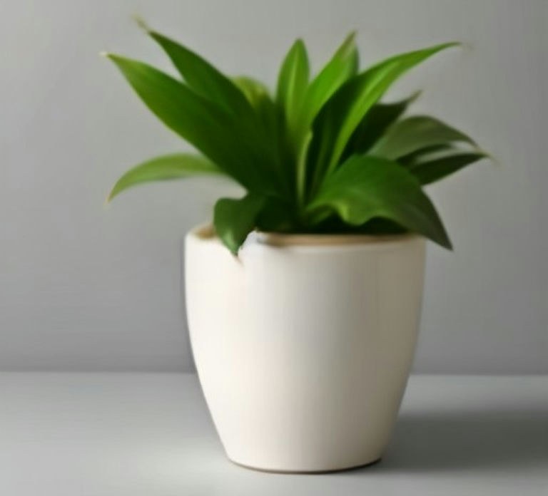 示例｜陶瓷花盆 14cm 白釉