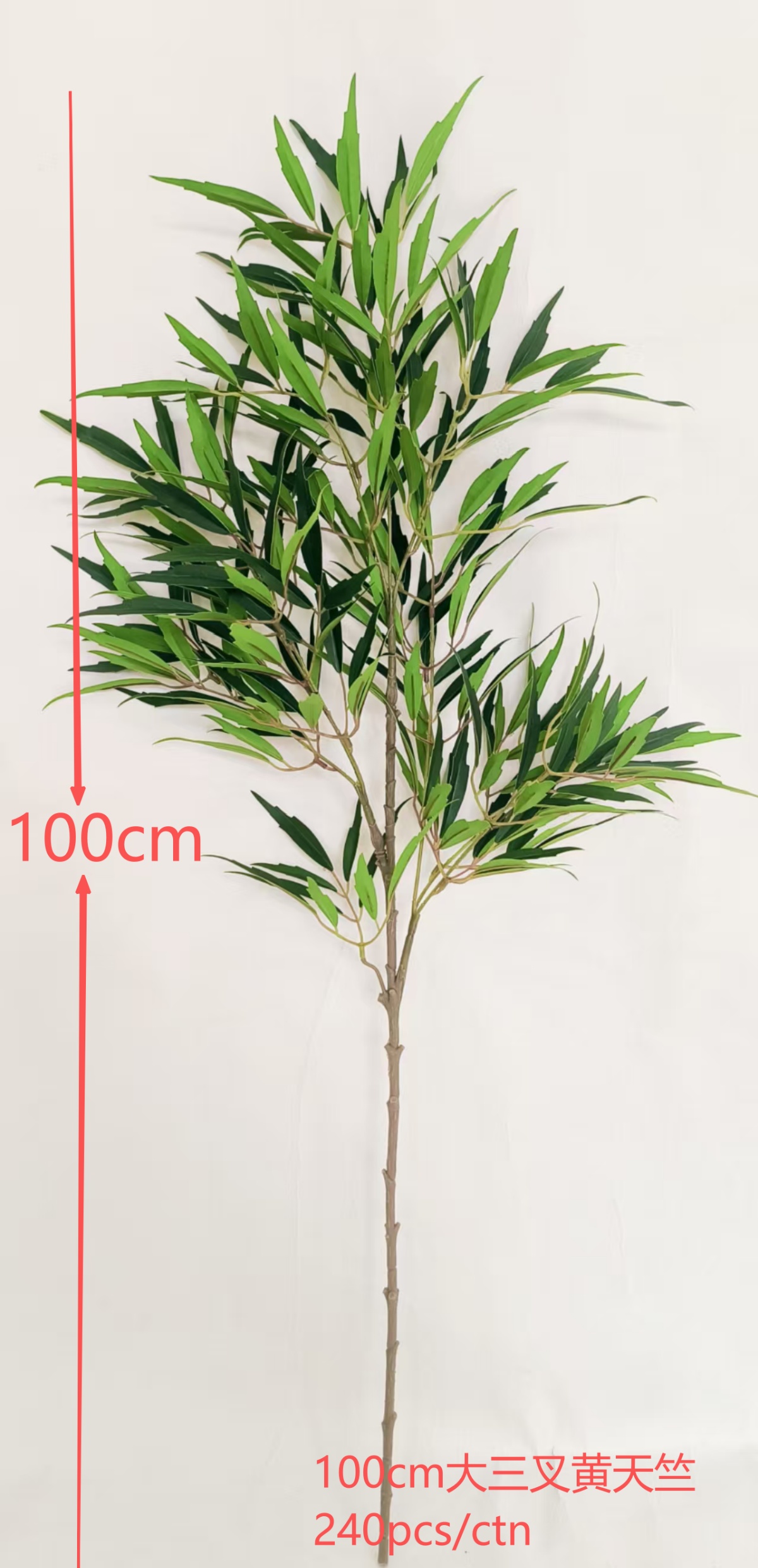 示例｜100cm 大三叉黄天竺